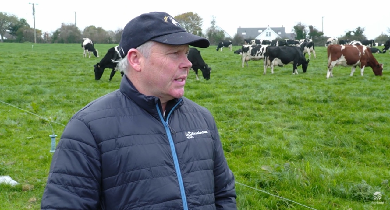 Watch: How a Tipperary farmer is ‘pushing yields’ with an award winning herd