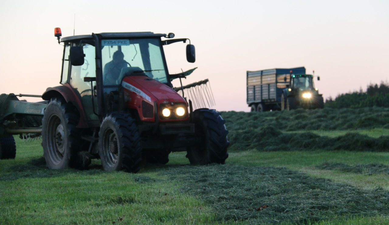 Caught in the rain: Should I mow or should I wait?