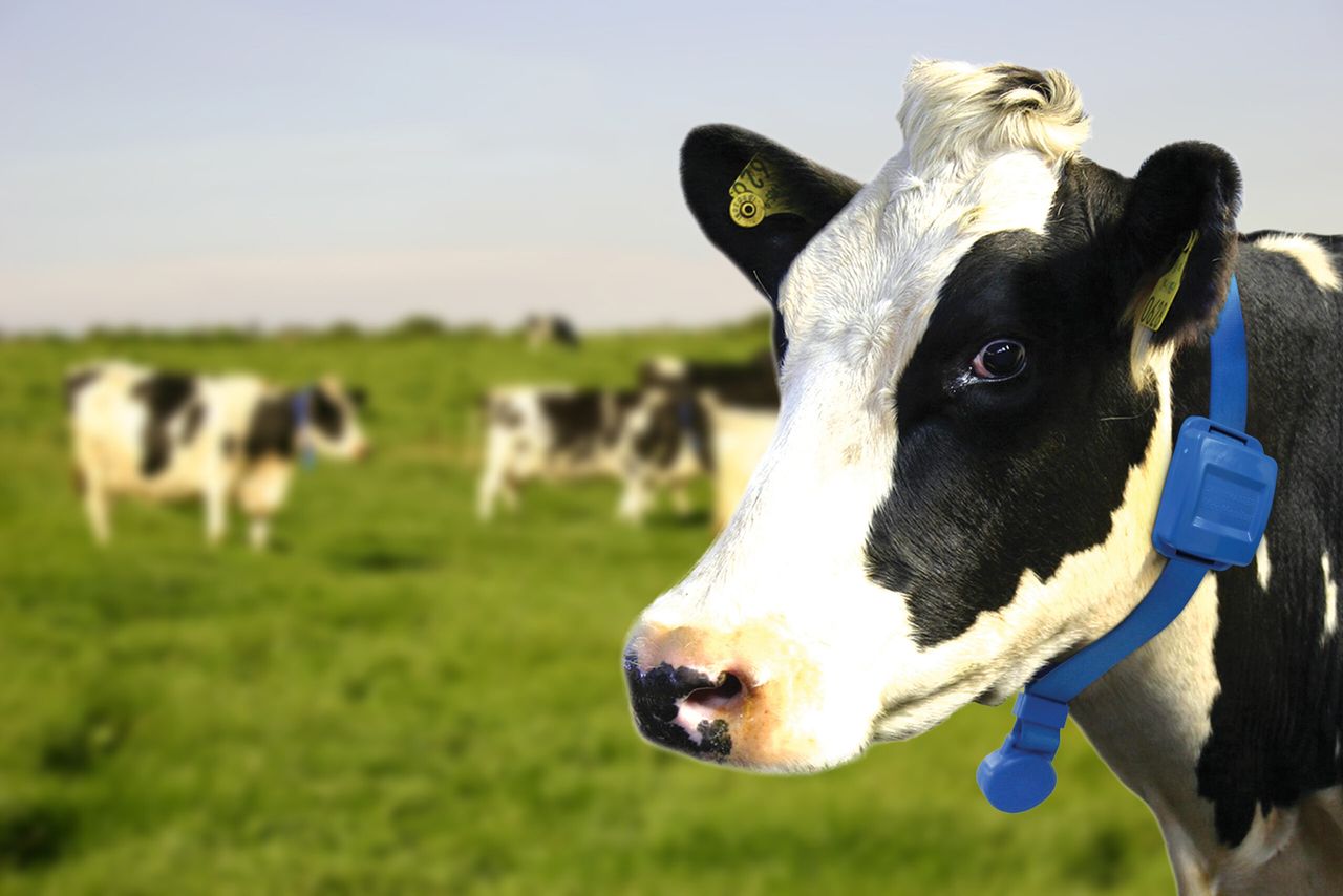 New study finds Moomonitor is best in class