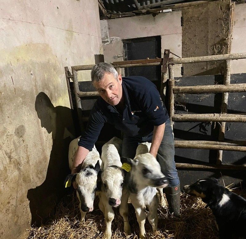Priest urges Kerry farmer to keep surprise triplet bull calves