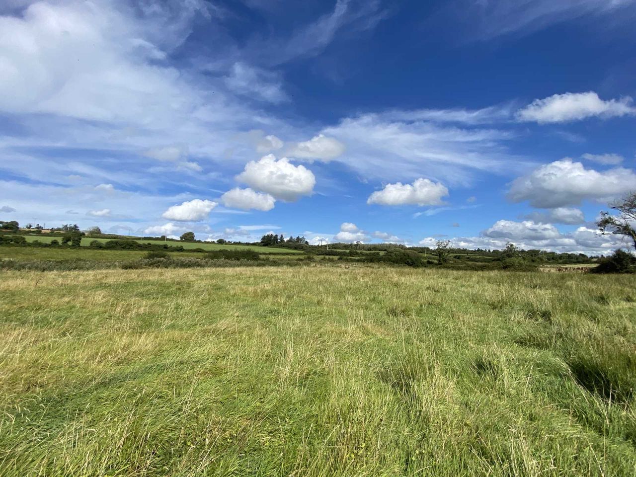 'Outstanding' 23ac farm in Clare coastal town for auction