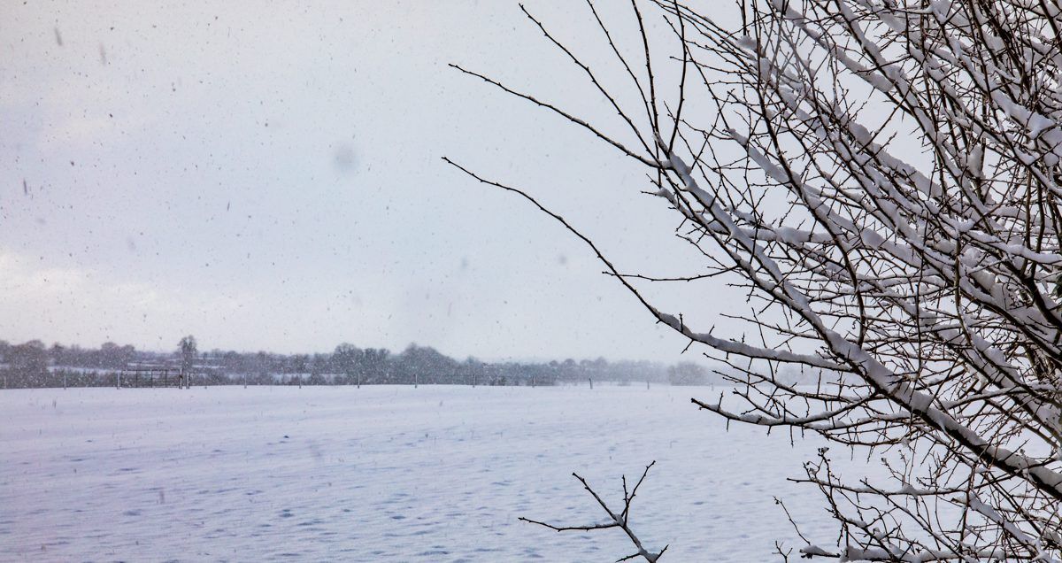 Snow-ice warning issued for 22 counties