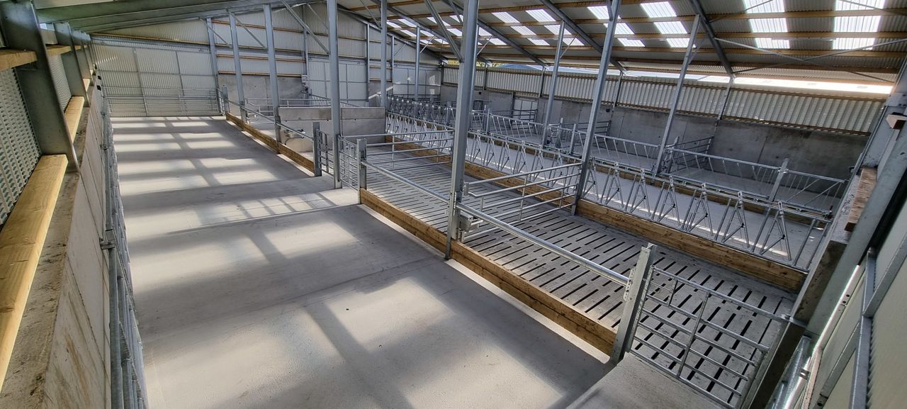 Buildings Focus: Safety and expansion to the fore of new suckler unit in Sligo