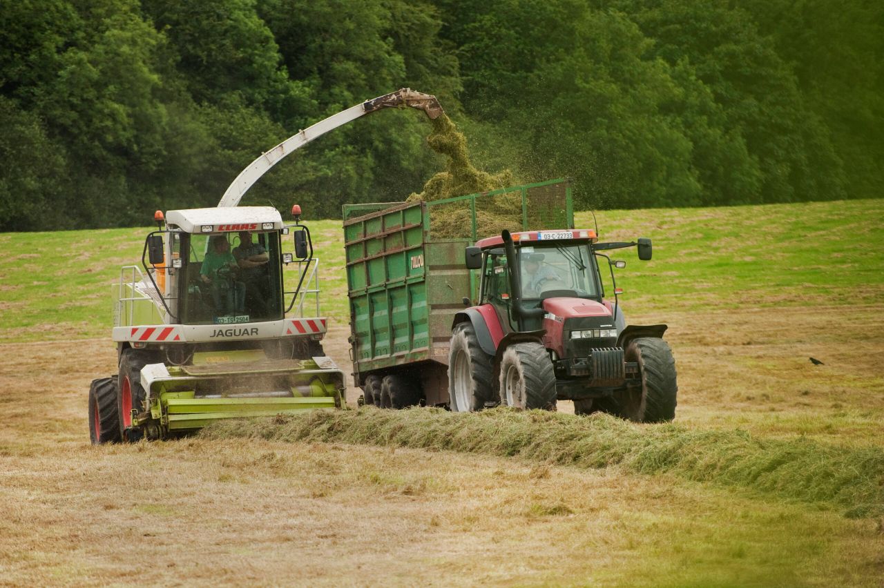 Cutting silage? Here's how to make the neighbours jealous with your quality silage