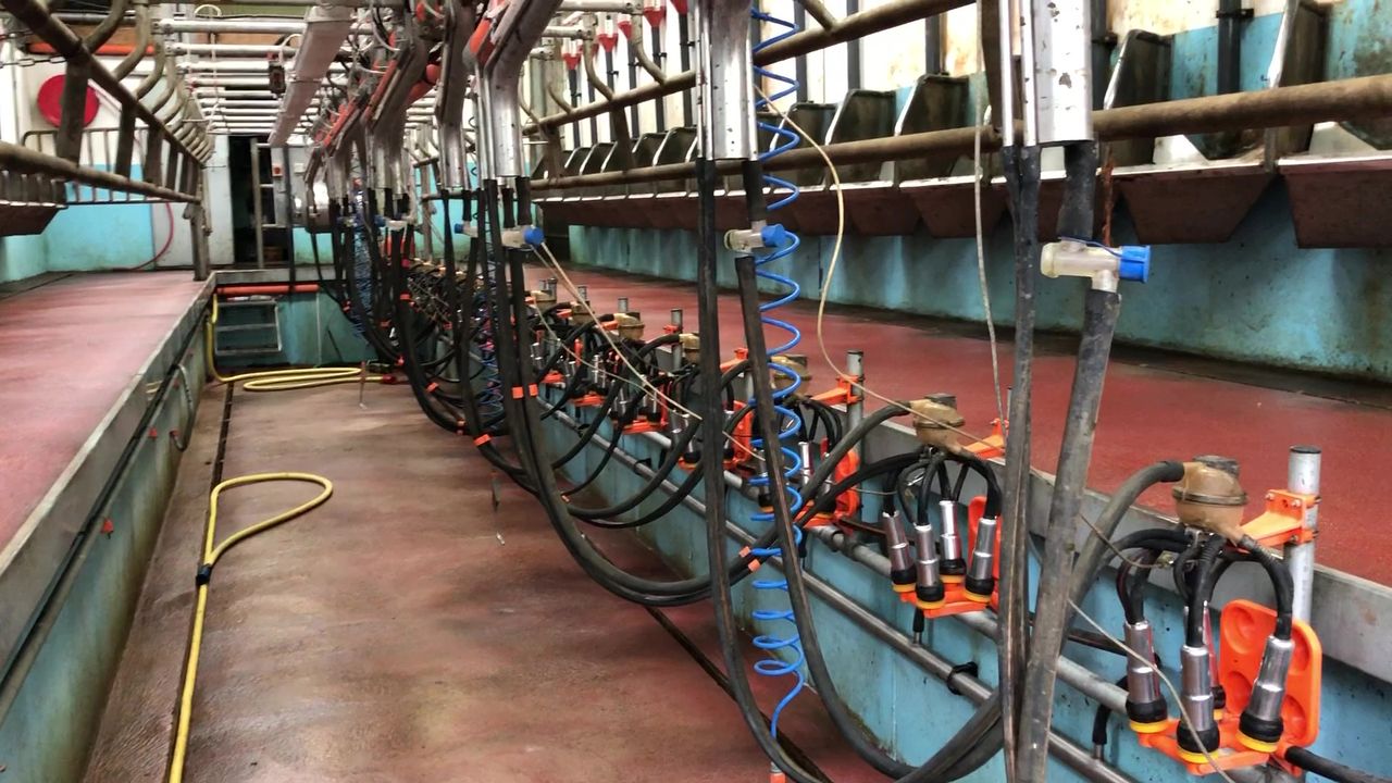 Ensuring your parlour wash routine is effective
