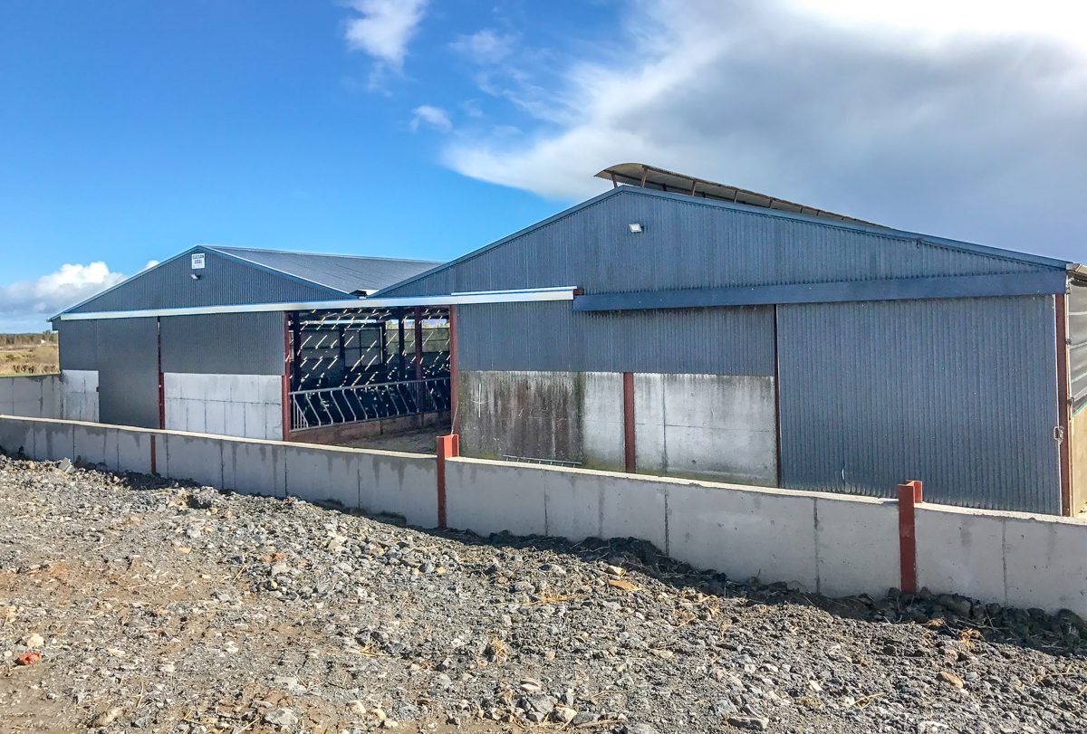 Buildings focus: A simple beef unit makes life easier in Co. Tipperary