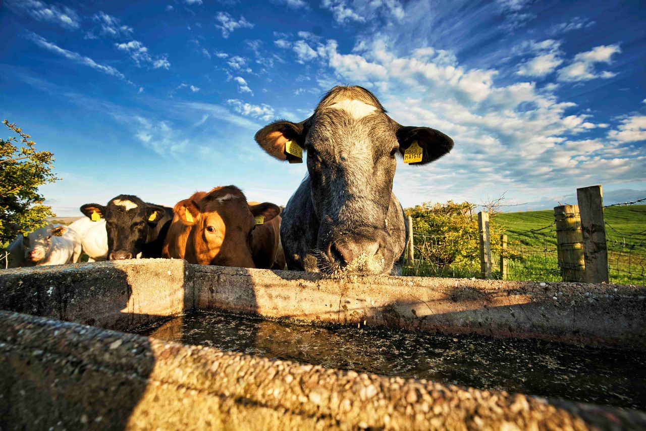 NI farmers reminded to check for leaks to stop money 'going down the drain'