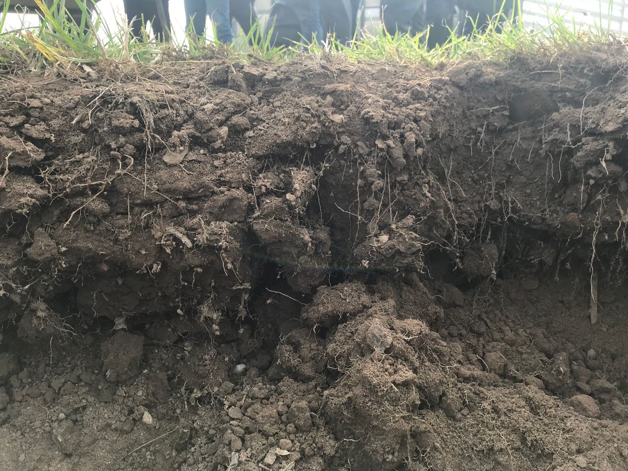 EU Commission launches 2030 'mission' for soil health