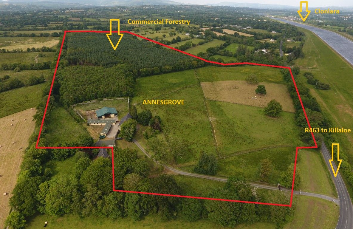 Rolling parkland and commercial forestry: 53ac idyllic roadside estate for sale