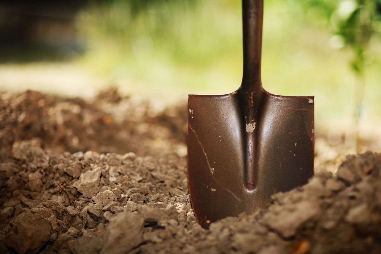 'Men inherit farms, women do not'
