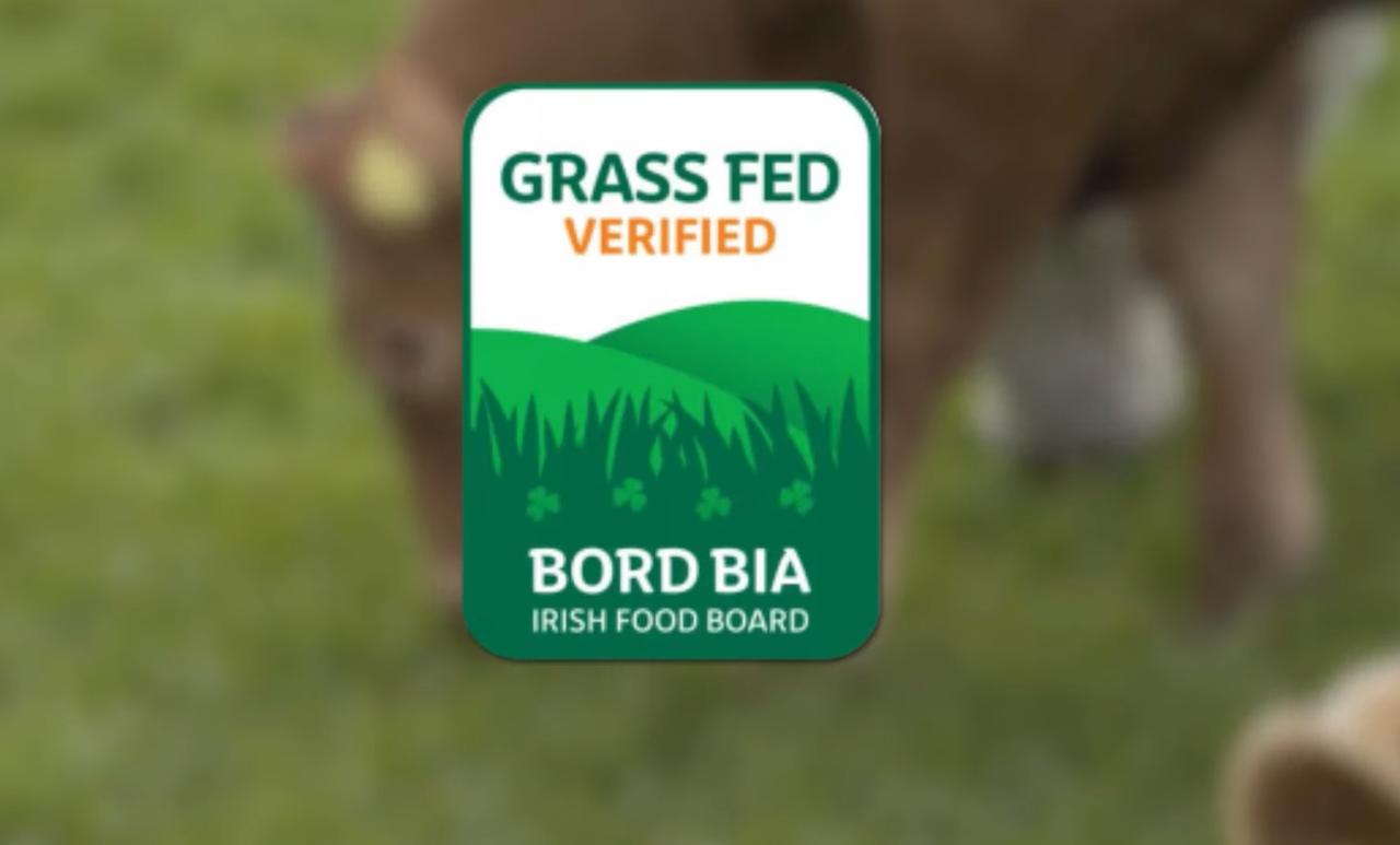 Bord Bia outlines criteria for new grass fed beef scheme