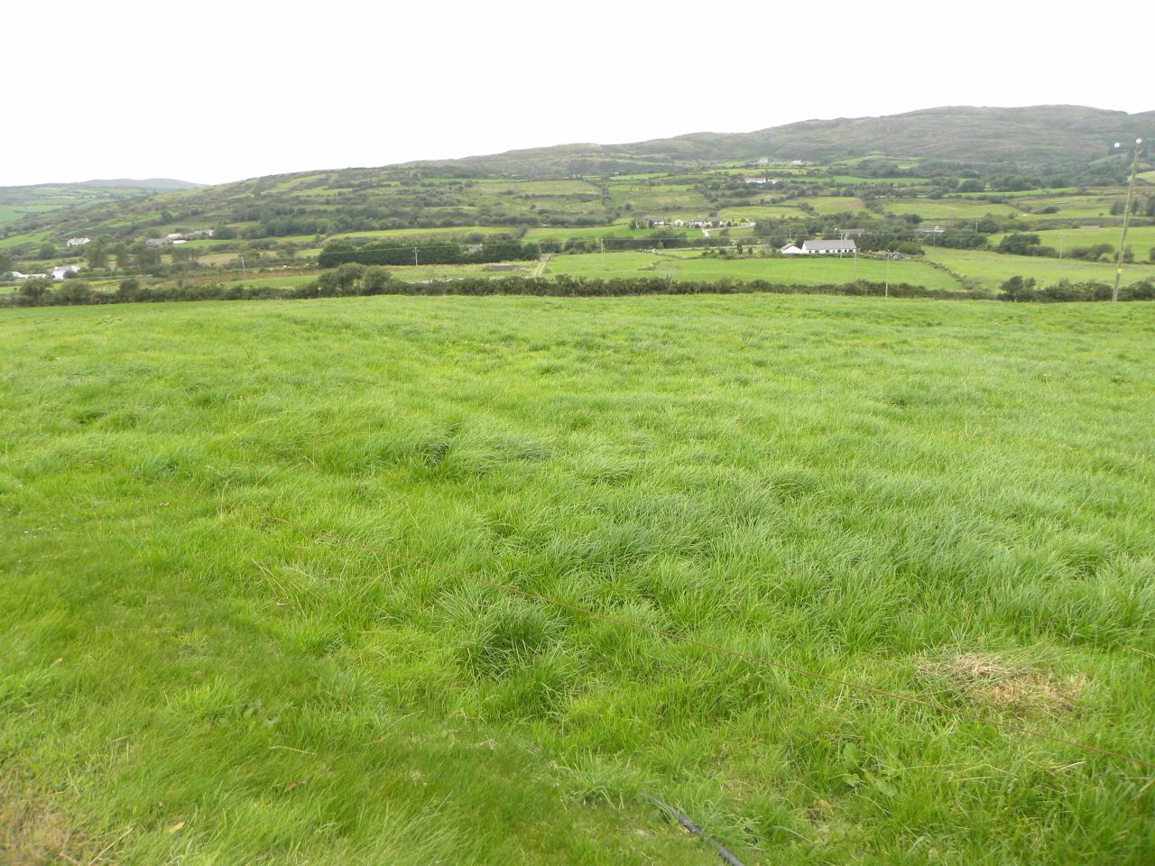 Is Ireland facing a grass famine and feast situation?