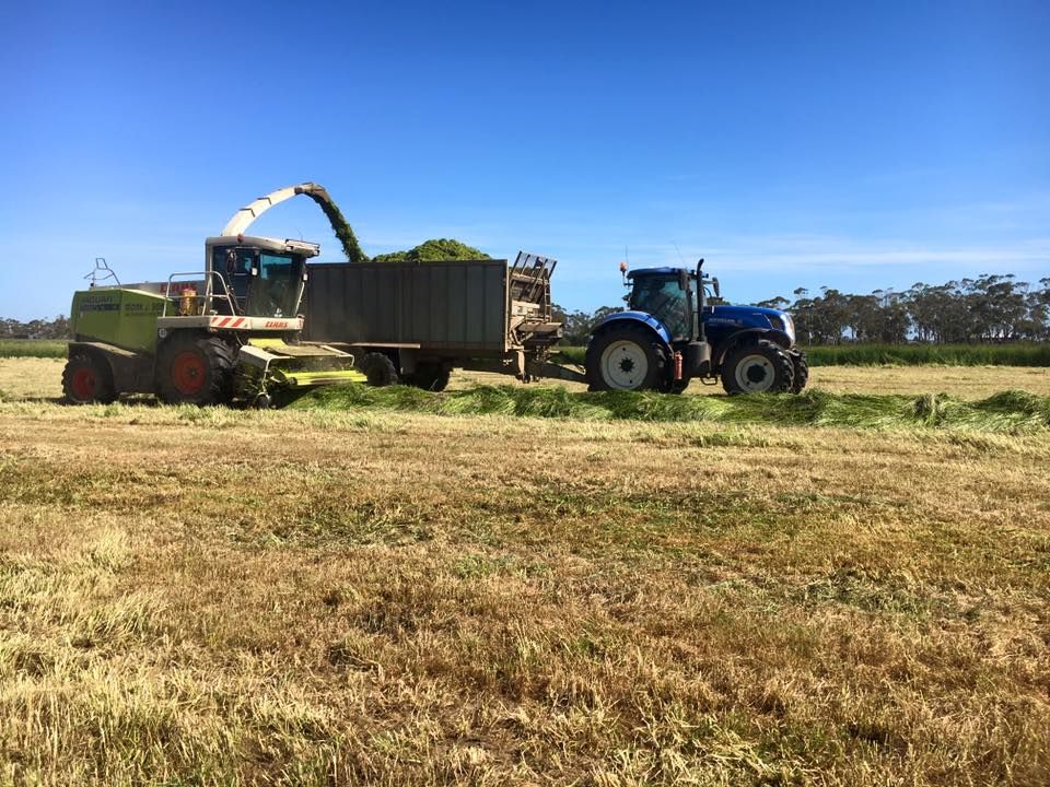 Video: Silage addiction draws one young Irish man to Australia and back