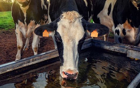 Bill to allow 100 times more water to be abstracted without licence in ROI than in NI