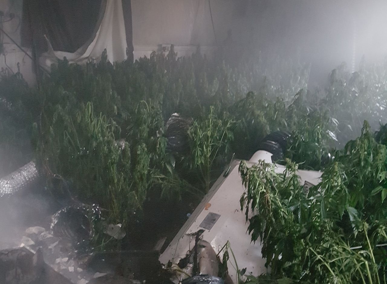 €120,000 of cannabis seized from rural house in Tipp