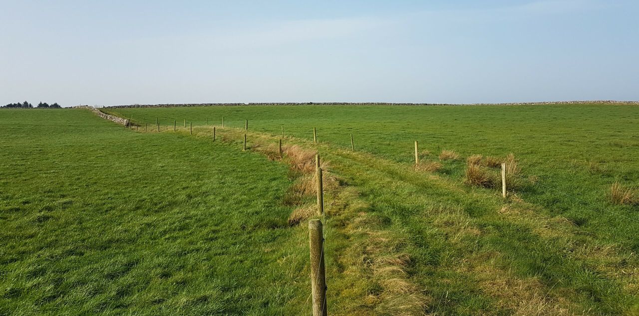 67ac farm includes a converted milking parlour 'suitable for commercial letting'