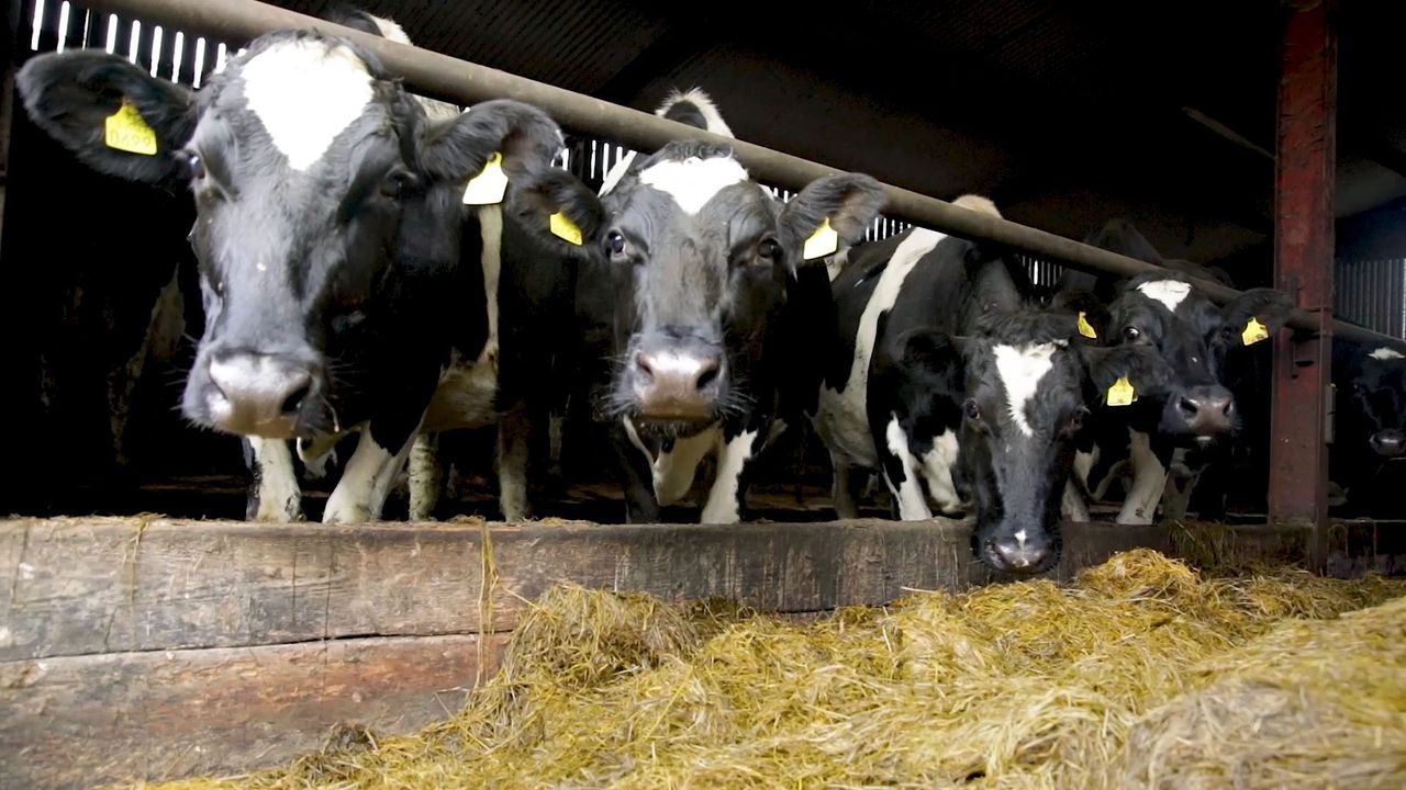 Stalemate continues between Kerry Co-op and shareholders