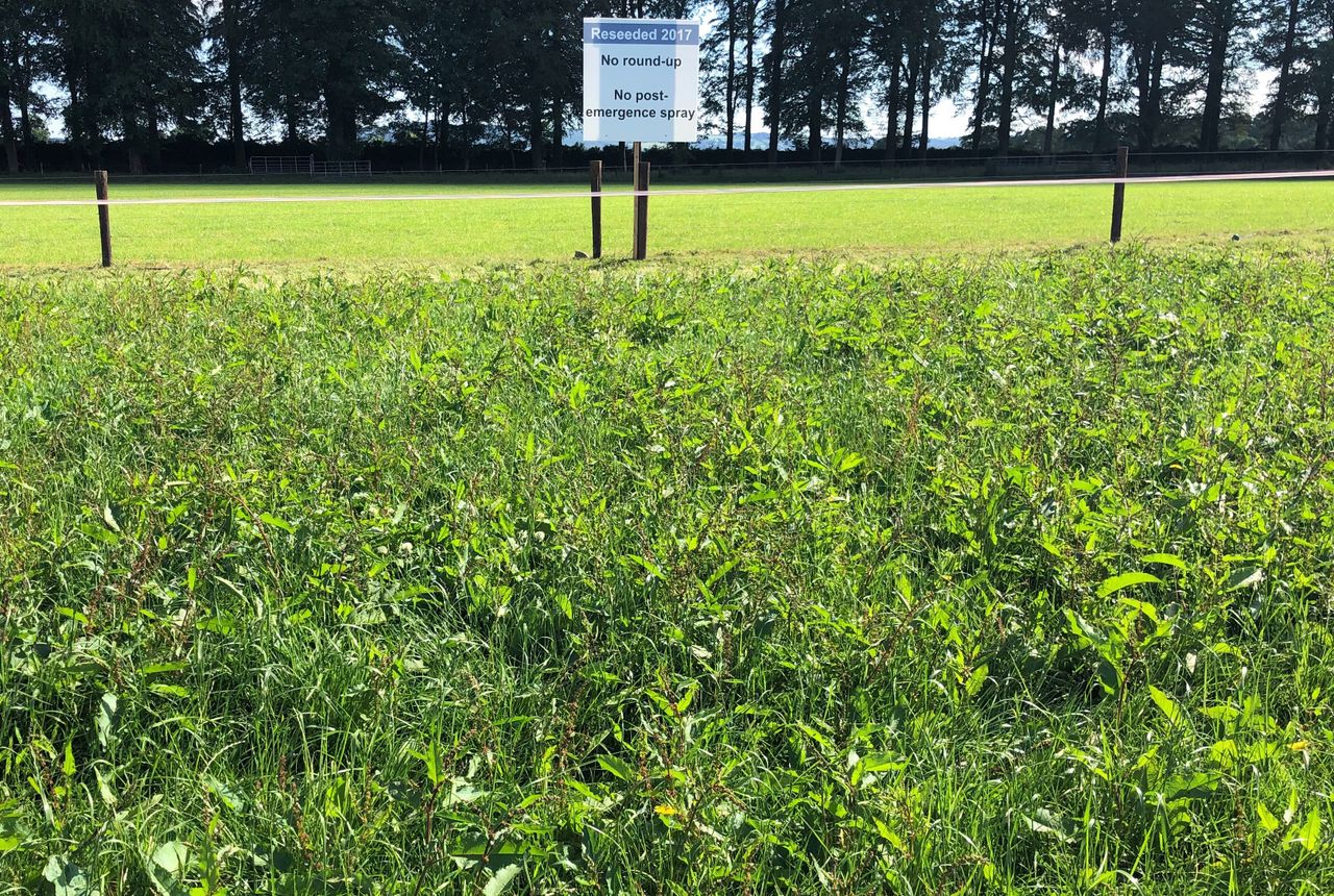 Pics: See the importance of spraying reseeds