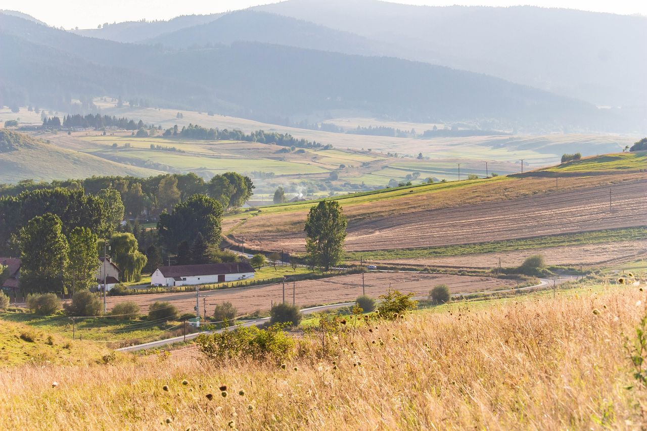 Part 2: Improving soil quality critical to success of tillage plan in Romania