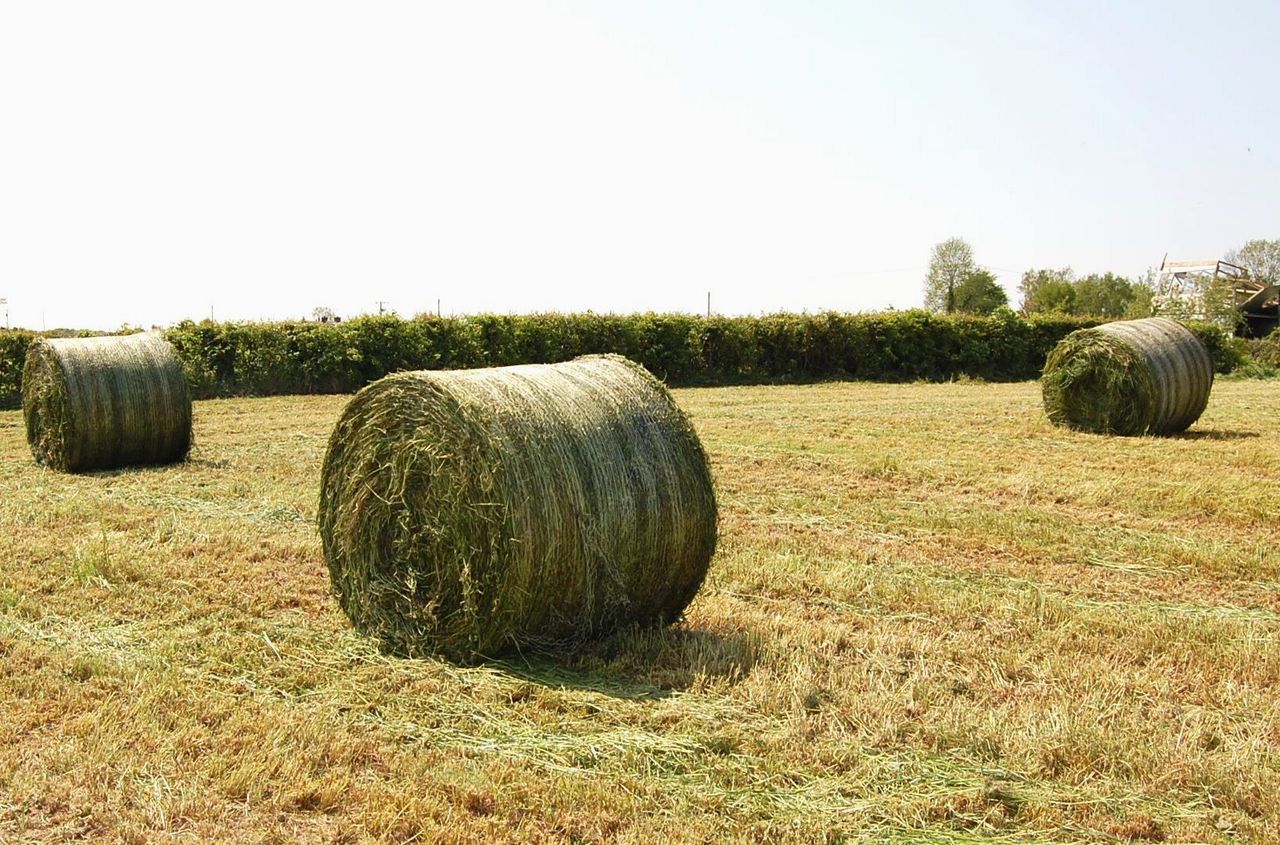 Guidelines for a safe silage harvest - Heydon