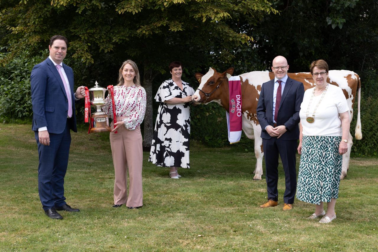 Baileys Champion Cow competition returns to Virginia Show