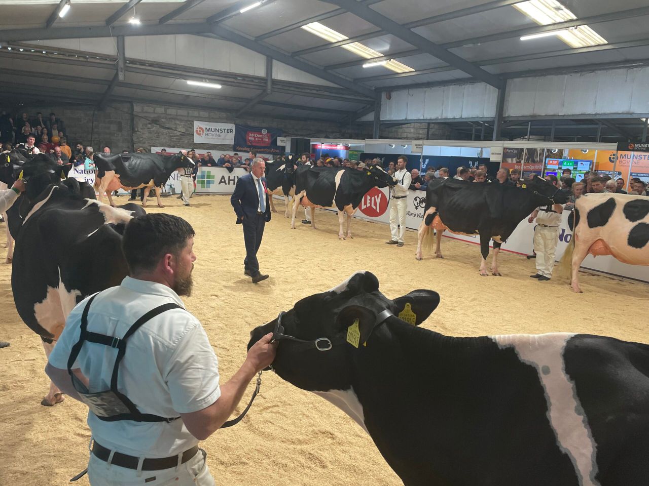 Video: AXA National Dairy Show 2022 ends on high note