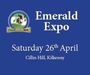 Top judge praises Emerald Expo dairy stock as 'best selection he has ever seen'