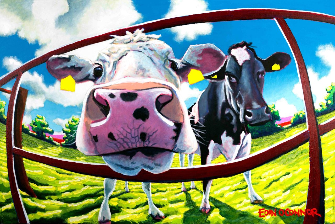 Artist looks to farmer friends for their cows as muses