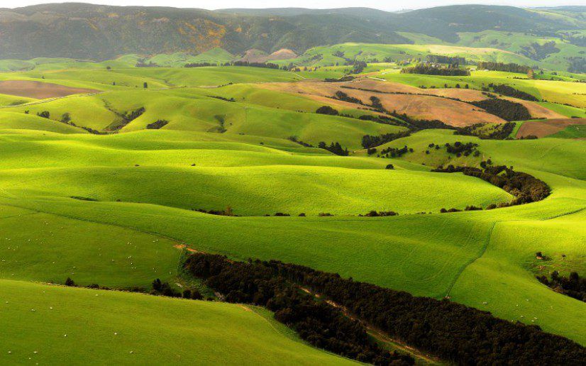 New Zealand's 'largest farmer' to sell off 10 farms totalling 11,650ha