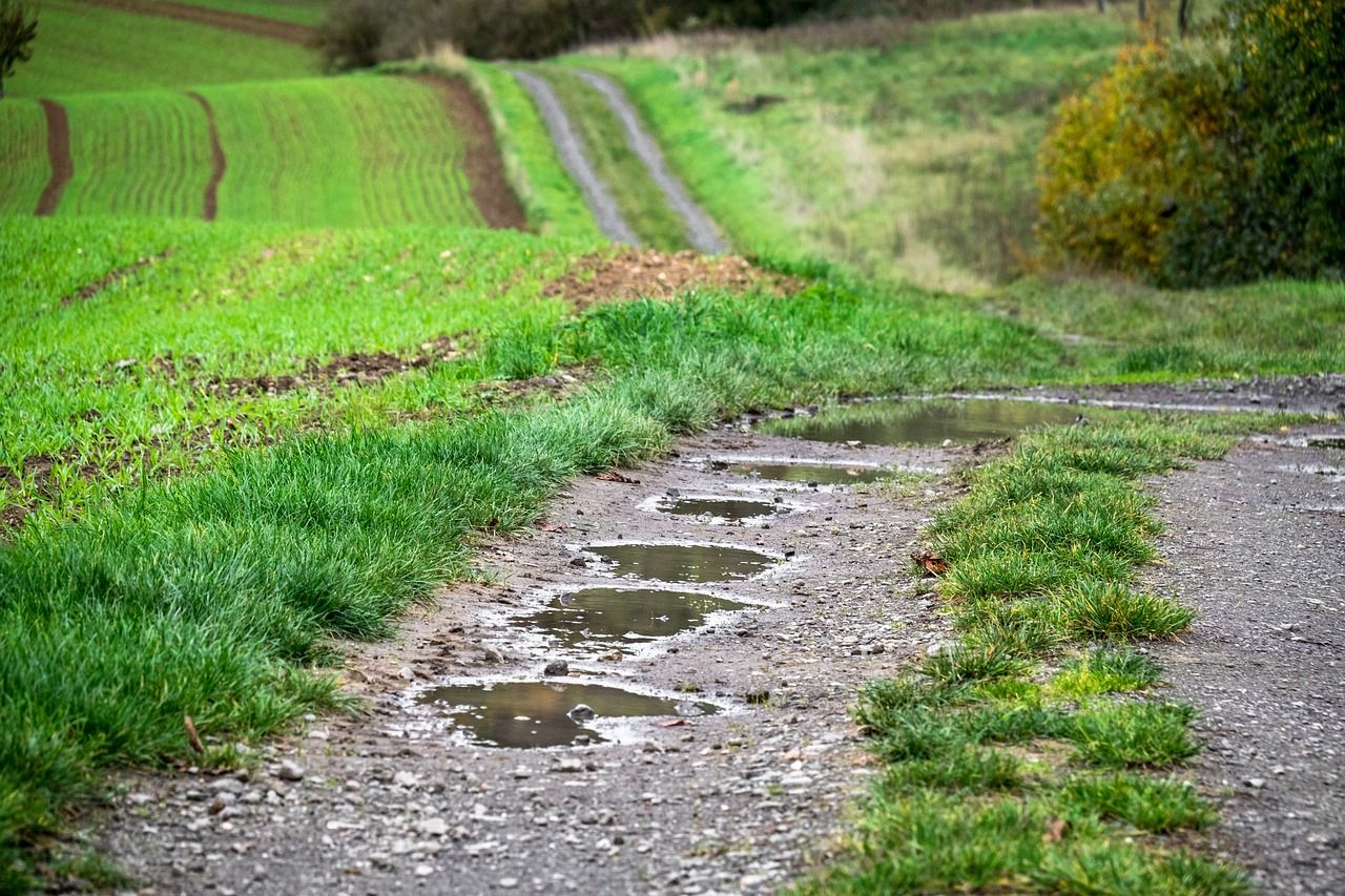 Weather: Outbreaks of rain to continue over weekend