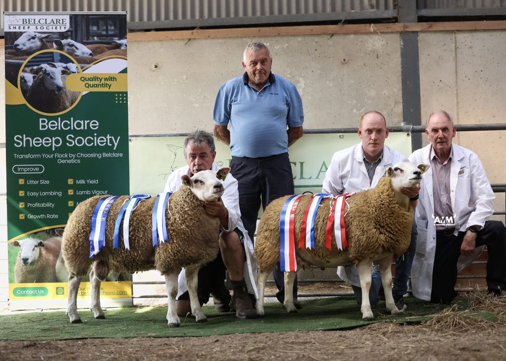 L to R. Ciaran Coughlan Reserve Champion, Melvin Matthews, Judge; Eoin and Liam Dunne, champion