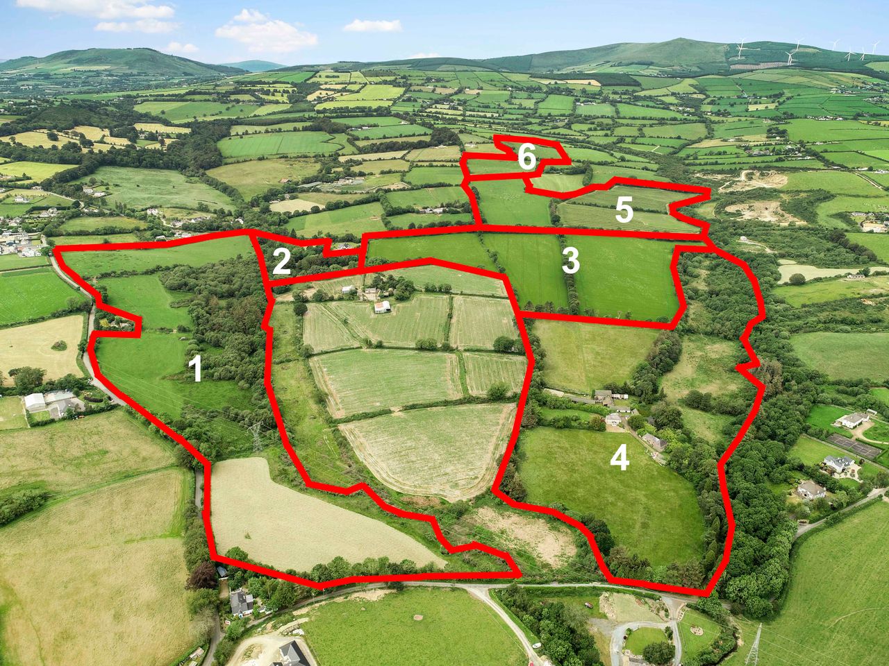 Period residence with an old mill on 171ac to go under the hammer in Gorey
