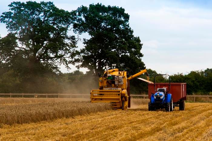 Harper Adams harvest…with no drivers?