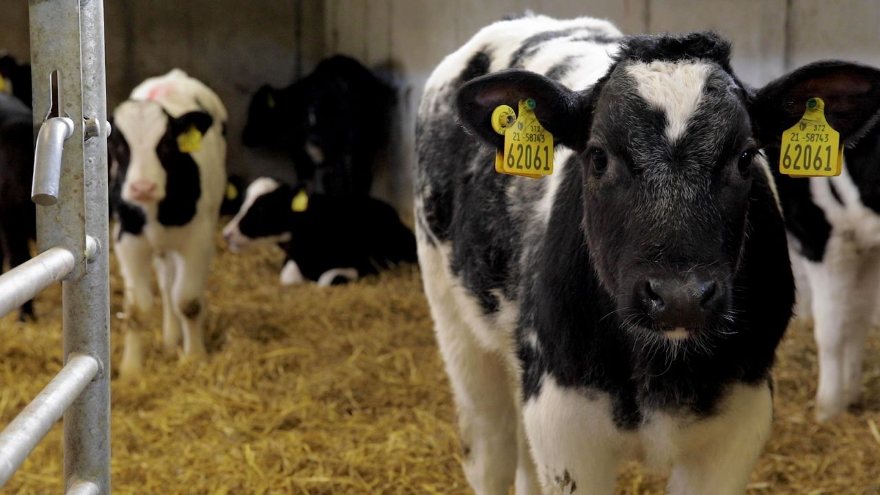 Green Acres: Honing a farm plan in the heart of the west