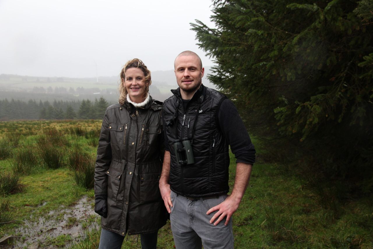 Does Hen Harrier conservation render farms worthless?