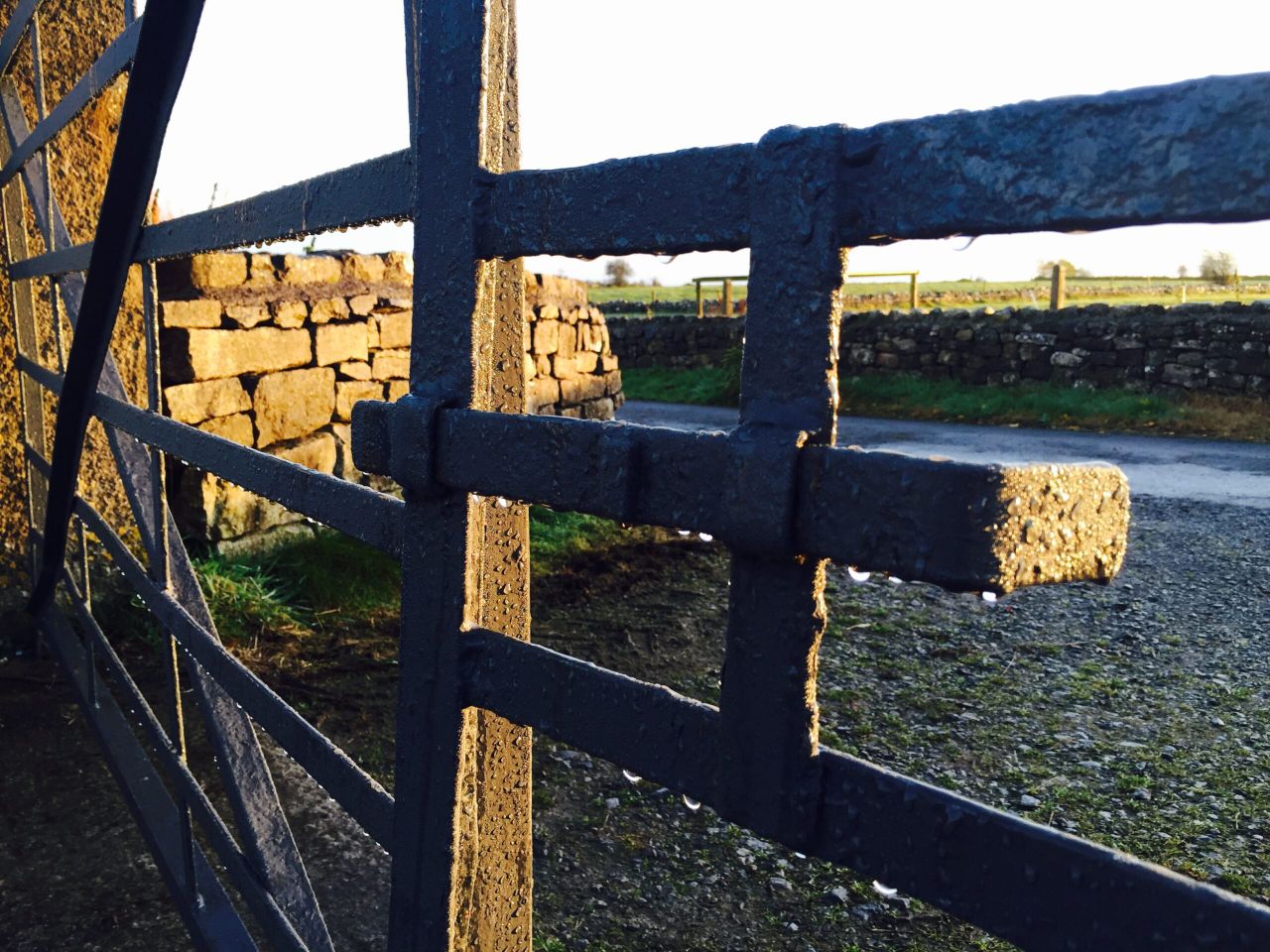 Tributes paid to young Tipperary farmer following tragic passing