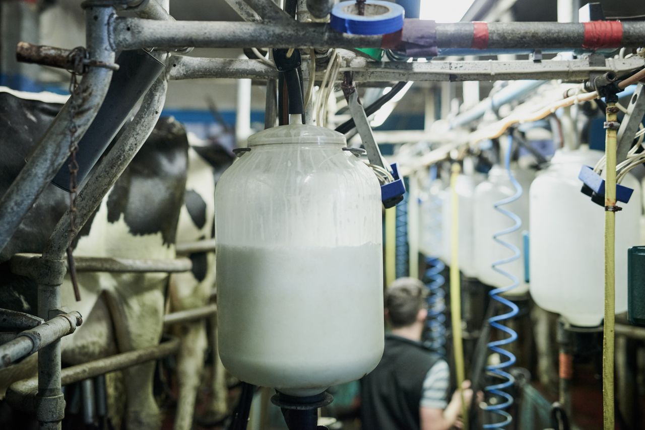 Milk supplies down by as much as 14% in some co-ops