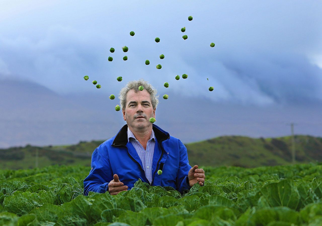 'Cultivating brussels sprouts 18 hours a day won't ruin my Christmas dinner'