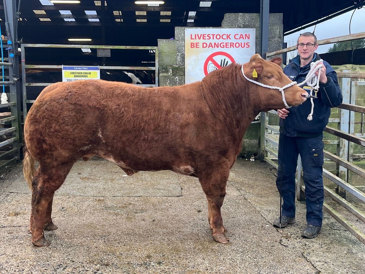 Mart report: 14 bullocks make €3,000 or more at Carnew