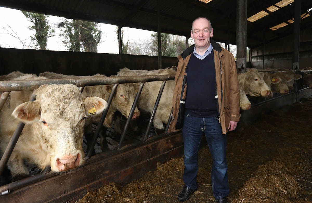 IFA Elections 2016: Flor McCarthy profile