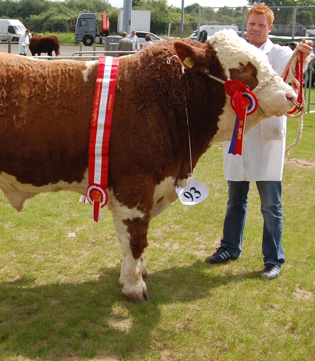 History made at Ballymena Show 2014