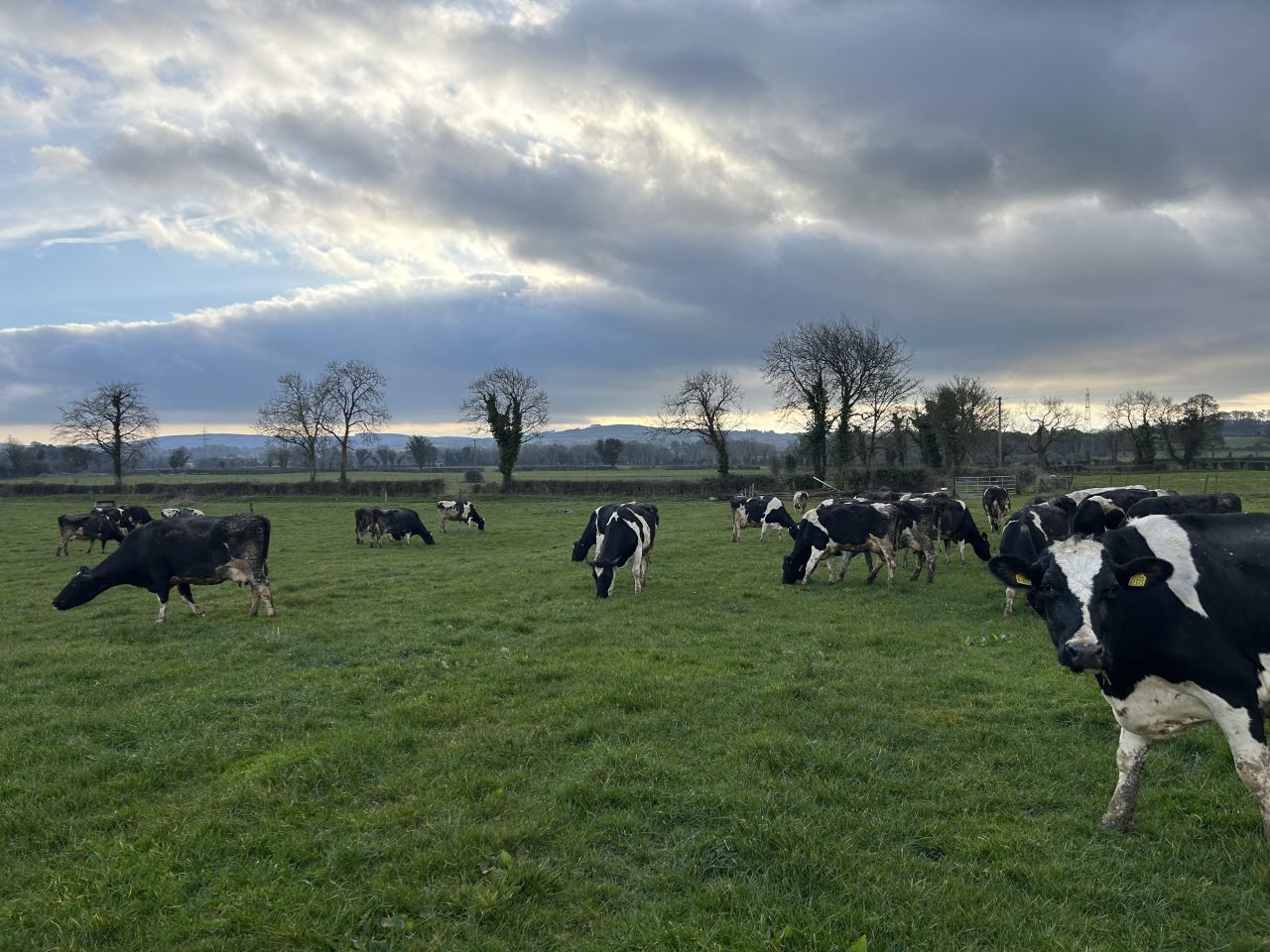 Grass growth improves and time for sulphur in swards