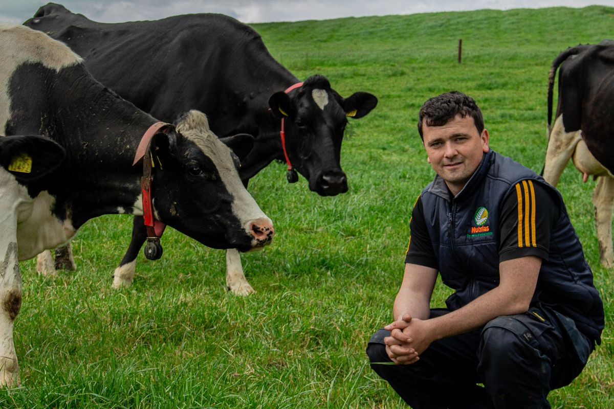 Young dairy farmer set to lose 14ac to new N5 route in Co. Roscommon