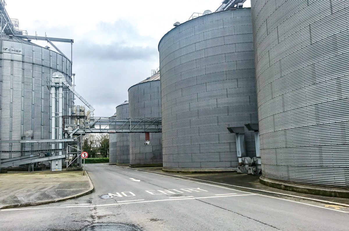 Boortmalt urges patience with green crops of barley