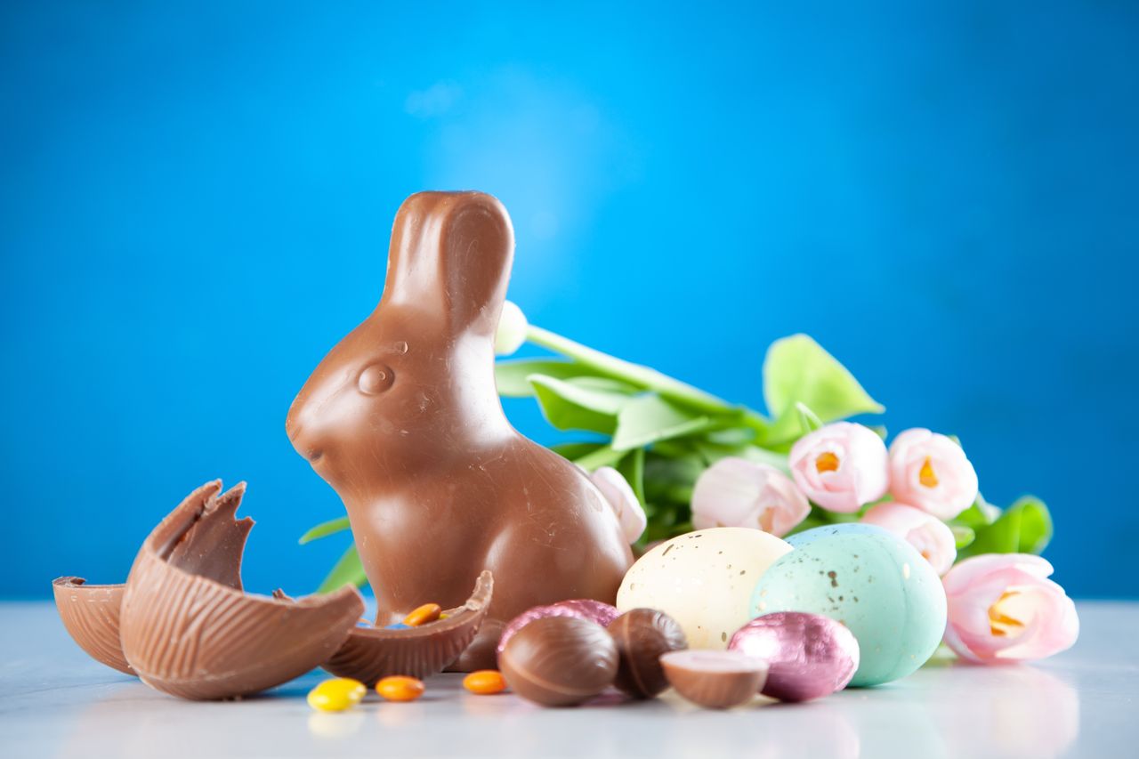 Vet warning to keep chocolate away from animals this Easter