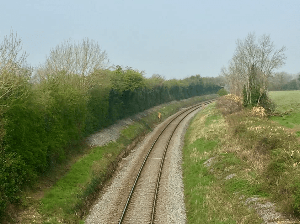 Evident anger as Irish Rail 'mulch hedge to the ground'