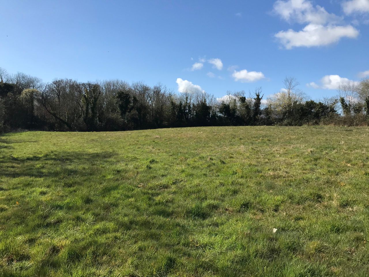 Five-division roadside holding for sale by online auction