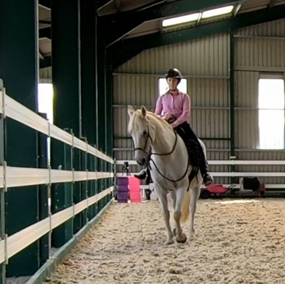 Co. Tipperary author promotes philosophy of listening to horses