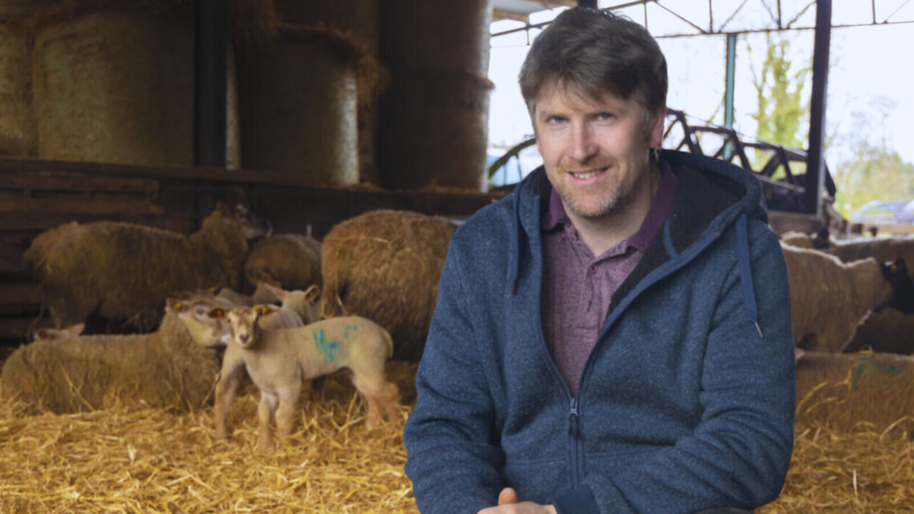 BETTER sheep farm walk: Organic farming in action in Wexford