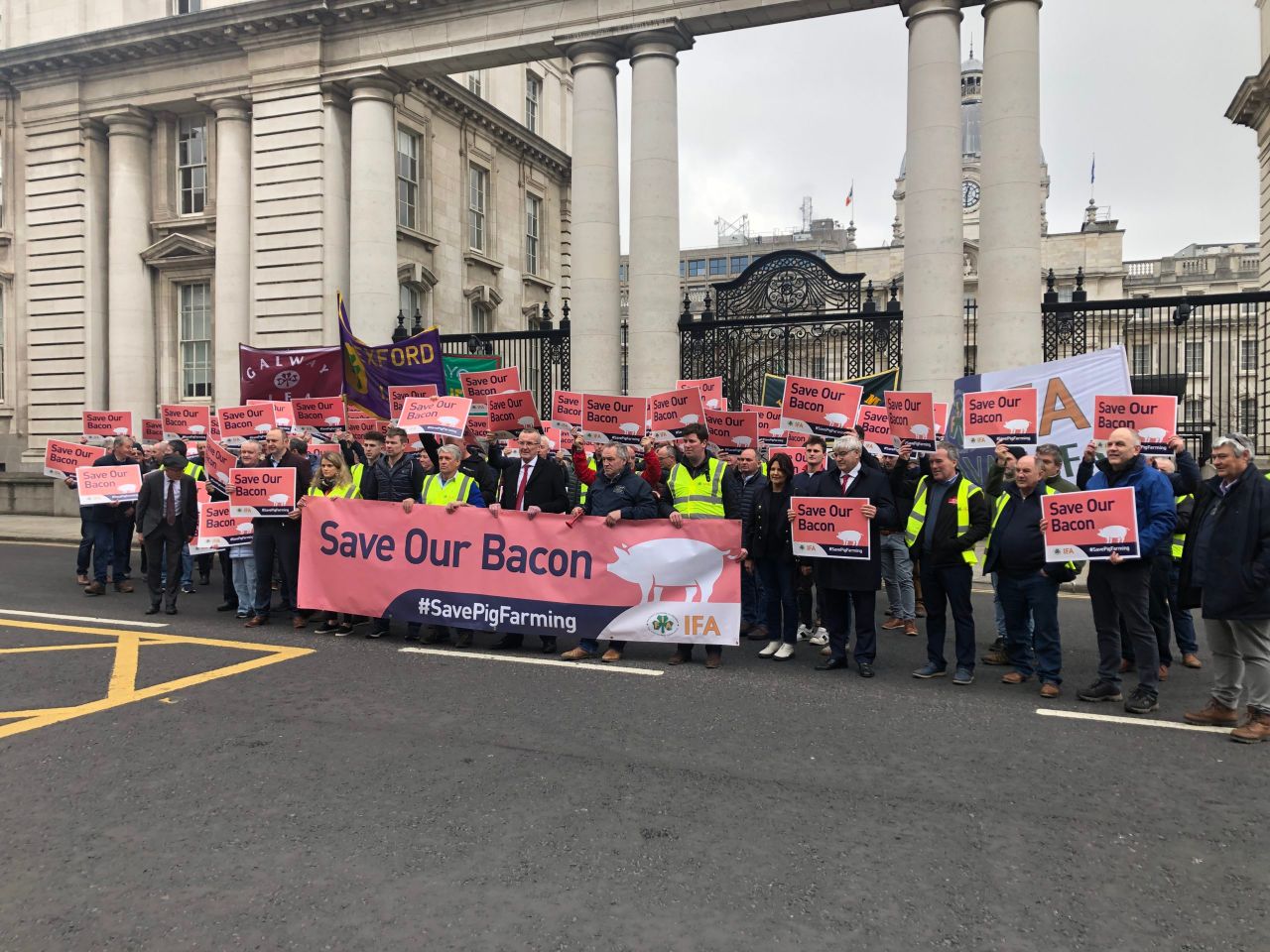Pig farmers are 'staring into the abyss' - Gallie